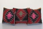 Kilim-Rug-Pillows-Set-of-3 2