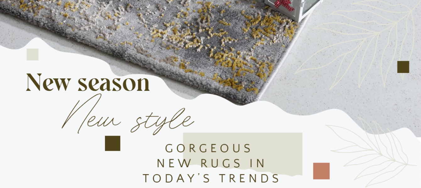 1 Rug Store Chicago Area Rugs Living Room Rugs for SaleCozy Rugs